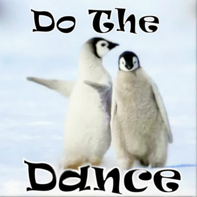 Penguen Dansı - Penguin Dance