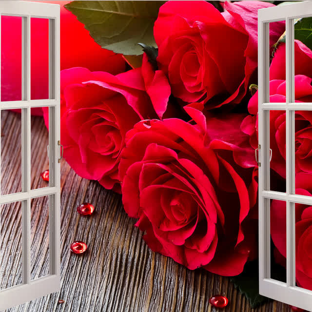 Pindu & ALB & Negru - Un Trandafir Creste La Firida Mea