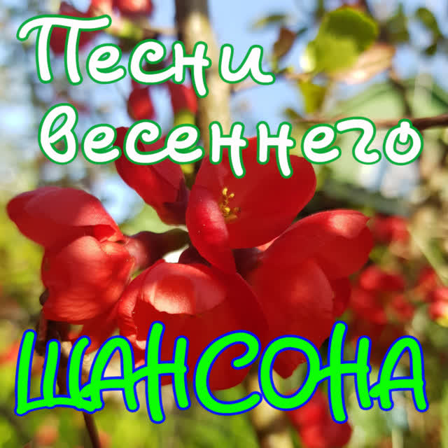 Рустам Бадалов - Бродяга