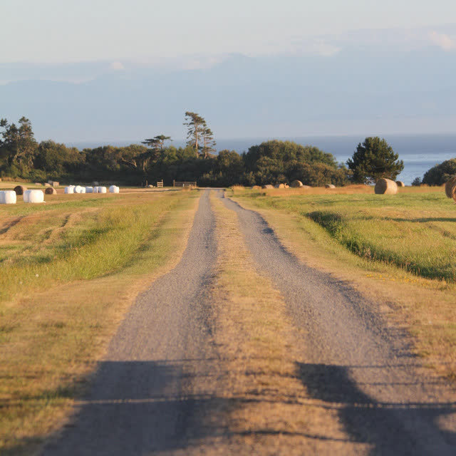 Сергей Беликов - Снится мне деревня