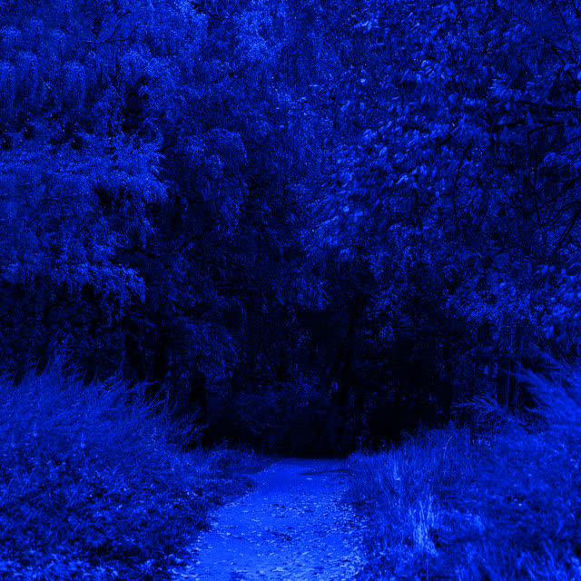 Ecveezer - Sad Emotional Violin Music