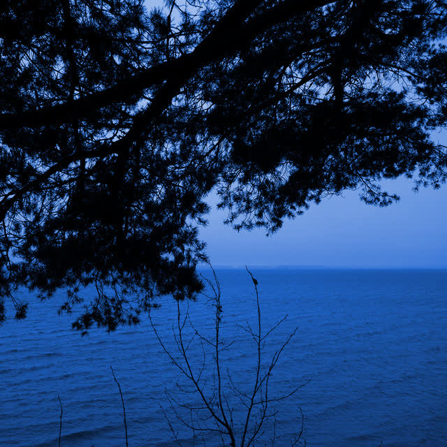 Ecveezer - Your Gaze Touches My Body - New Version