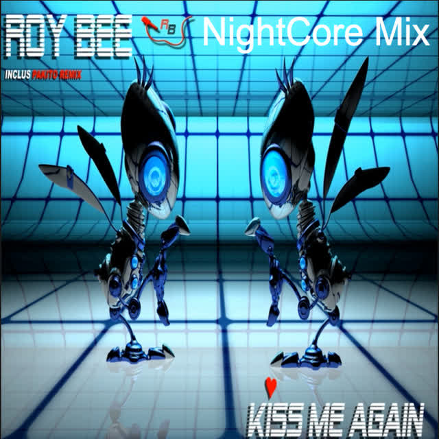 Roy Bee - Kiss Me Again - Nightcore Mix