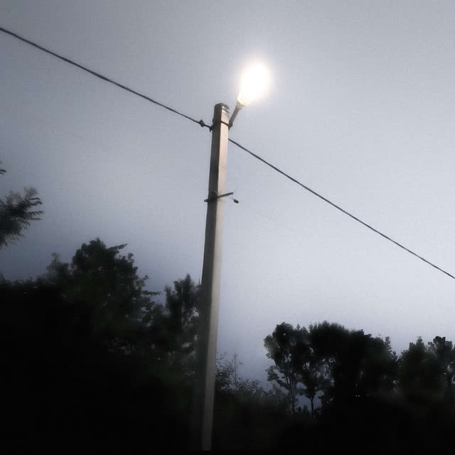 mislaid - character development