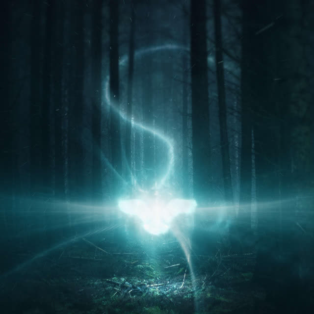 Arc North & Meric Again & Fallen Roses - Enemy