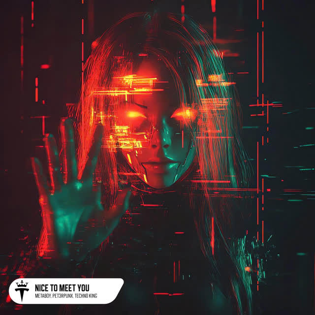 MetaBoy & PET3RPUNX & TECHNO KING - Nice To Meet You