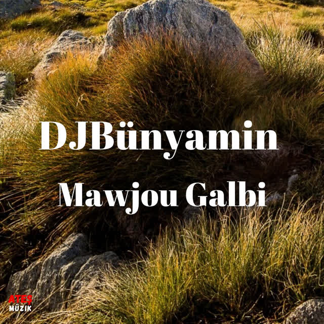 DJBünyamin - Mawjou Galbi