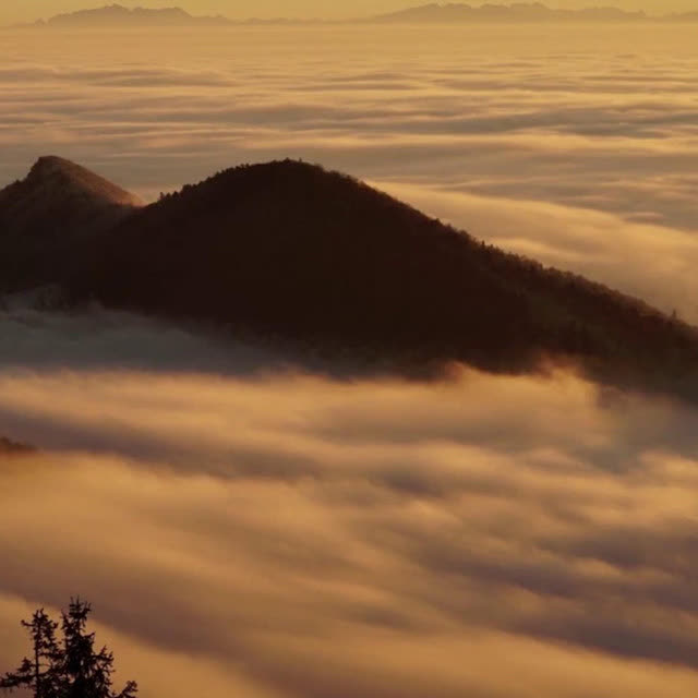 Drinche - Arabian Nights 1