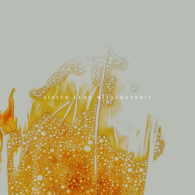 Sister Luna - Mitocondria