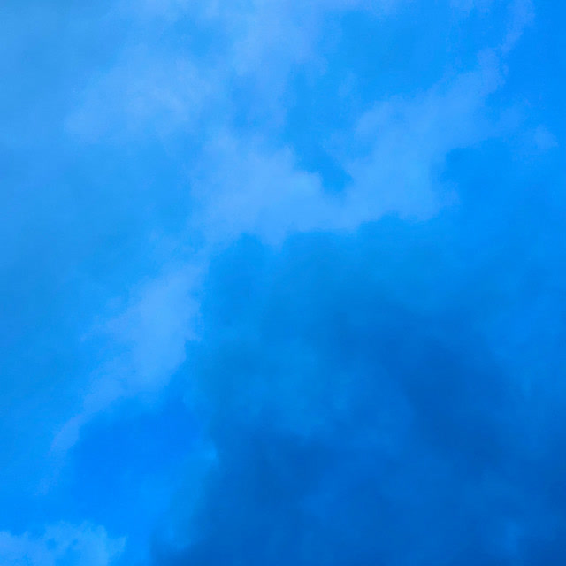 Rory Ryan - Contently Miserable