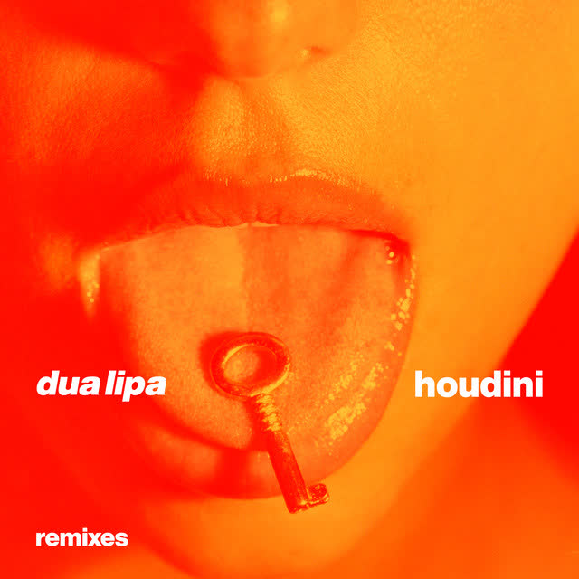 Dua Lipa & Adam Port - Houdini - Adam Port Mix