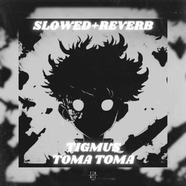 Tigmus - Toma Toma (Brazilian Phonk) [Slowed + Reverb]