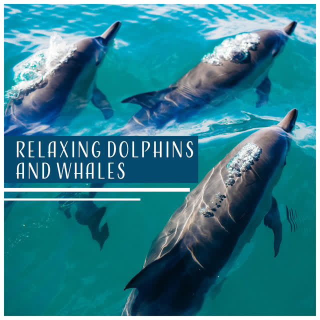 Linnea Björkvik - Soothing Sounds of the Sea