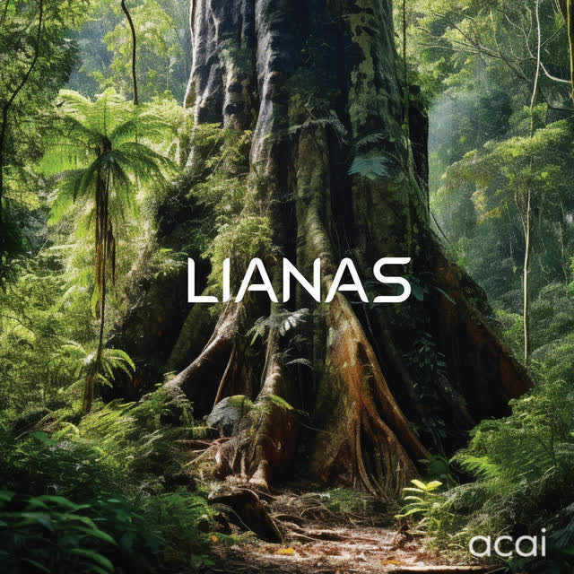 Lianas - Acai (Soundbath)