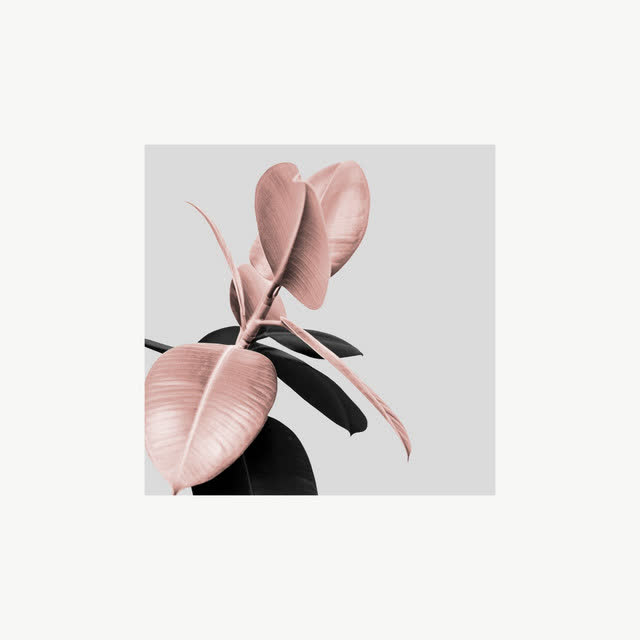 Ayelle & Alex Lustig - Body