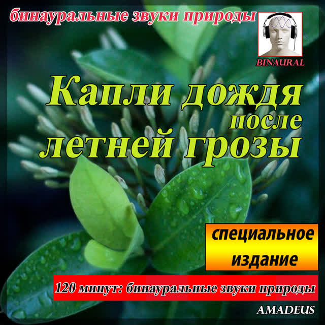 Amadeus - бинауральные звуки природы- Капли дождя после летней грозы - 90 минут- специальное издание