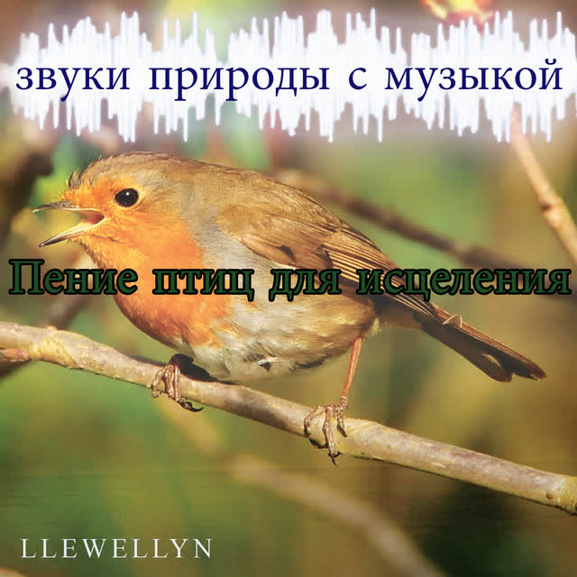 Llewellyn - Пение птиц для исцеления- звуки природы