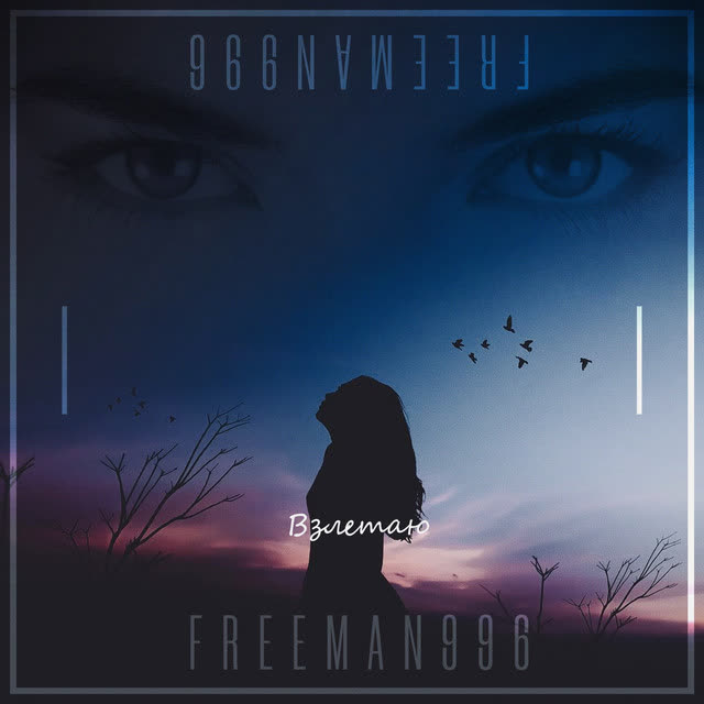 FreeMan996 - Взлетаю