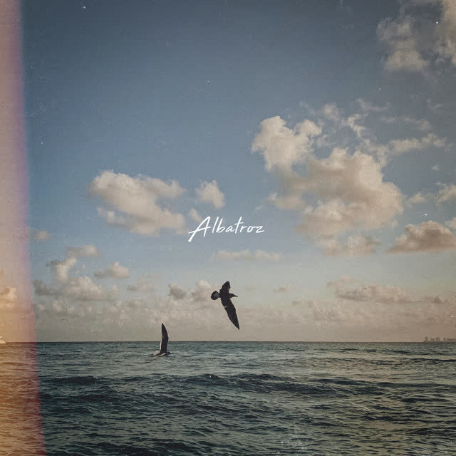 Toni Barella - Albatroz