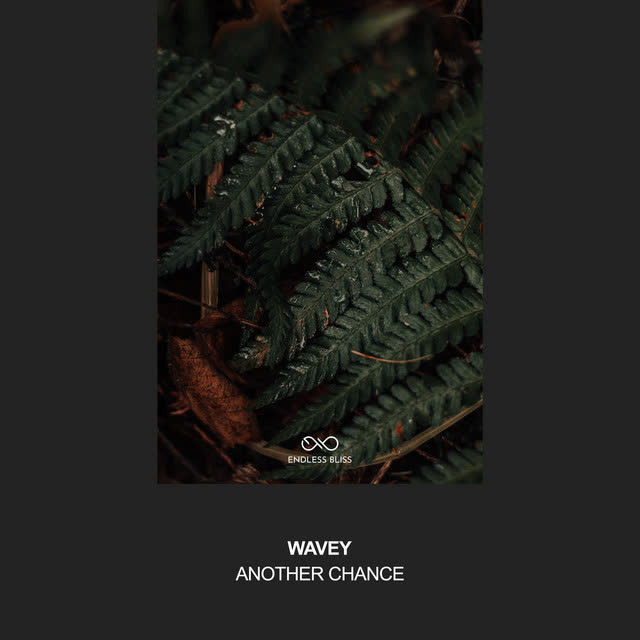 Wavey - Another Chance