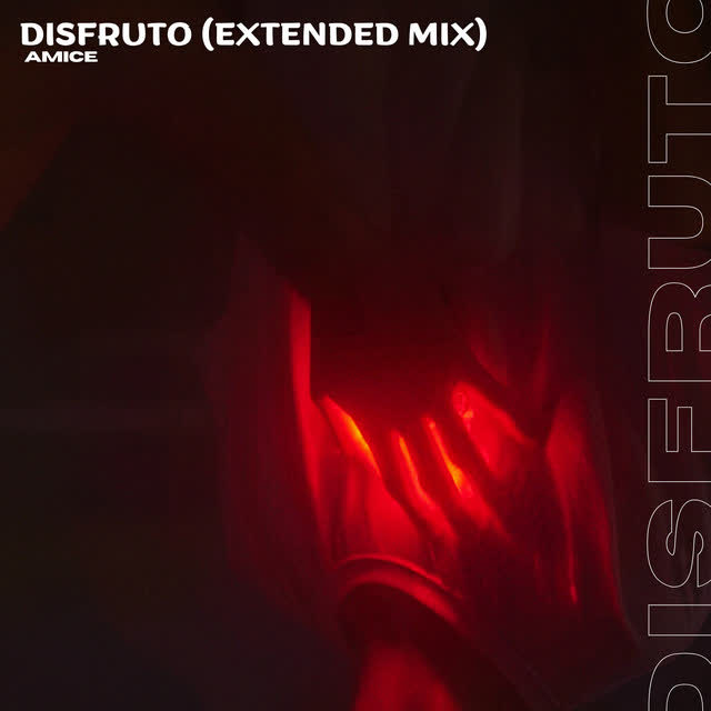 Amice - Disfruto - Extended Mix