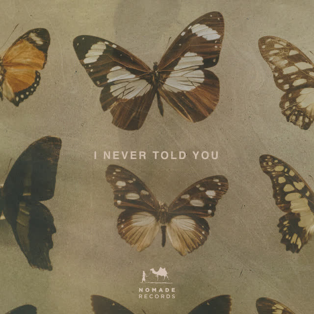 Paige - I Never Told You