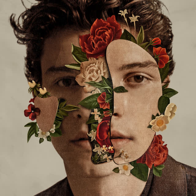 Shawn Mendes & Camila Cabello - Señorita