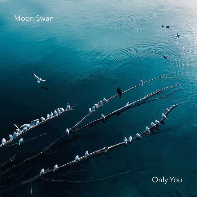 Moon Swan - Only you