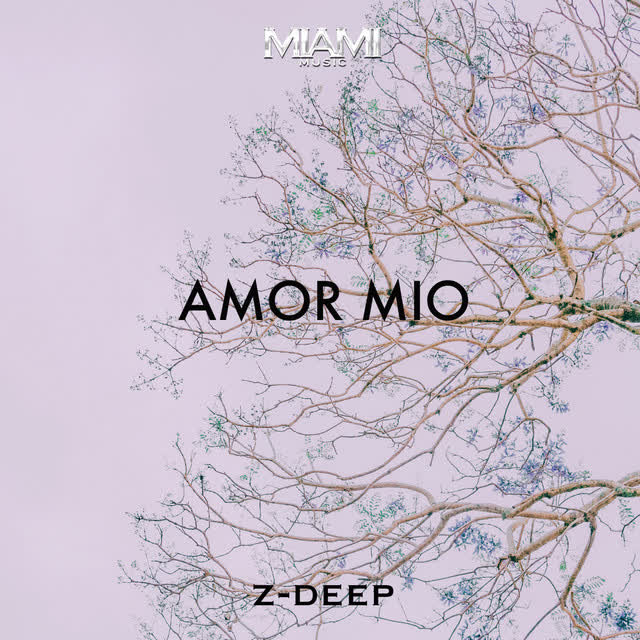 Z-DEEP - Amor Mio