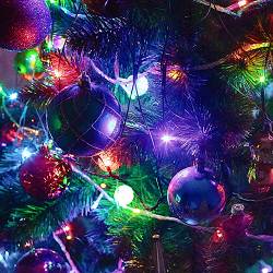 Александр Дмитриевич Дегтярев, Ecveezer - Merry Christmas and Happy New Year