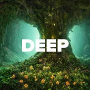 DFM Deep